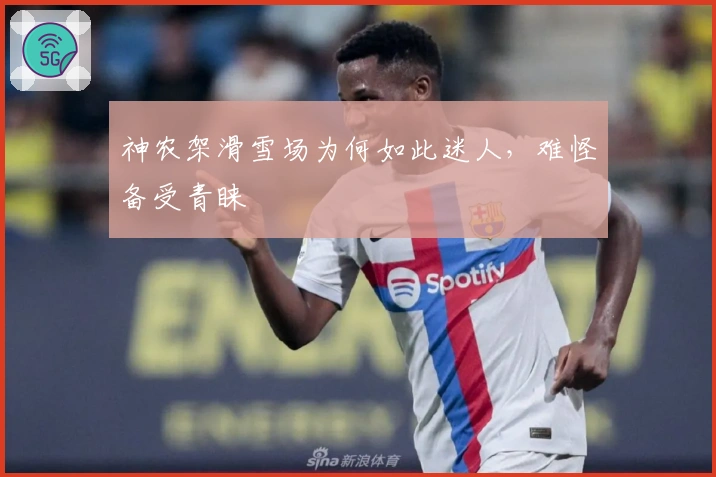 神农架滑雪场为何如此迷人，难怪备受青睐