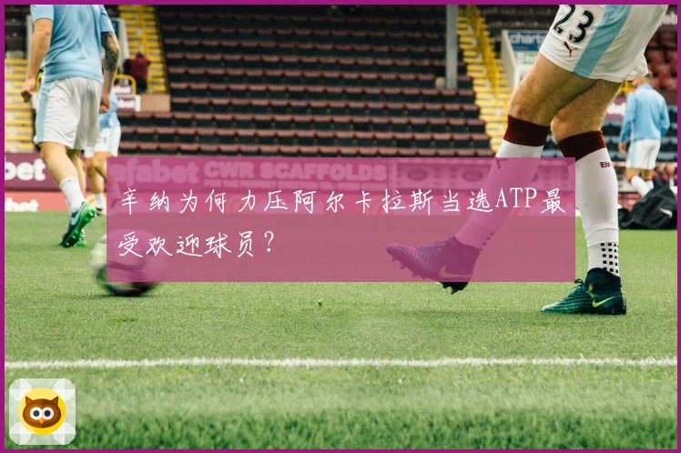 辛纳为何力压阿尔卡拉斯当选ATP最受欢迎球员？