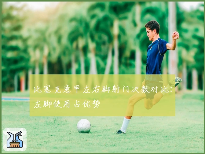 比塞克意甲左右脚射门次数对比：左脚使用占优势