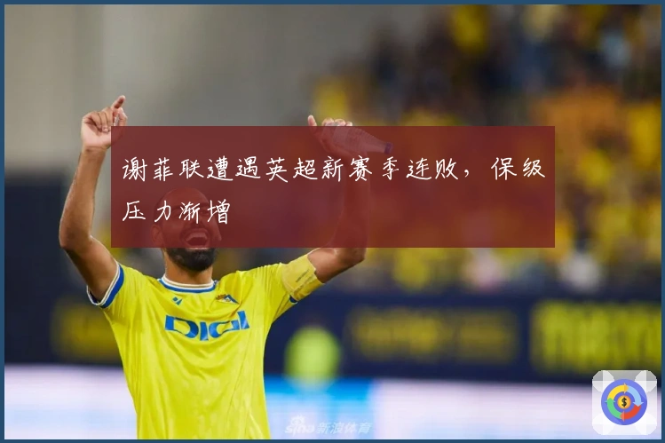 谢菲联遭遇英超新赛季连败，保级压力渐增