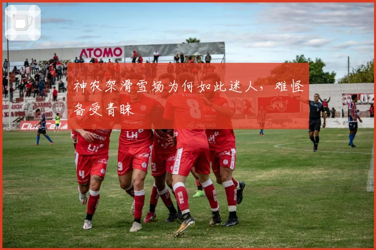 神农架滑雪场为何如此迷人，难怪备受青睐